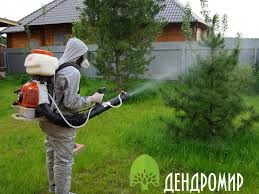 Гусениці на вишні як боротися?