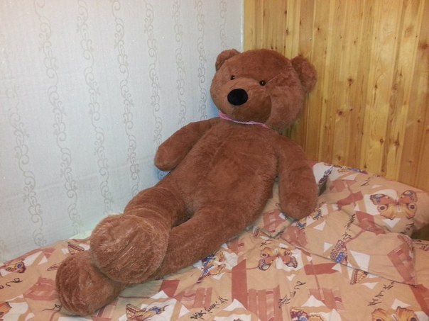 Величезний ведмідь! хотіли б собі такого? Величезний ведмідь! хотіли б собі такого?