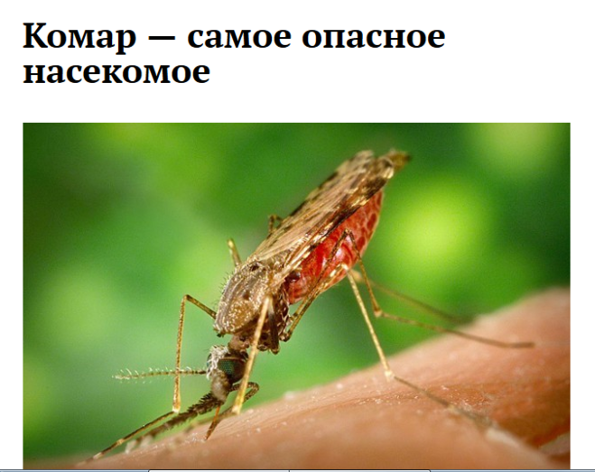 Чи можуть комарі заїсти людини до смерті?
