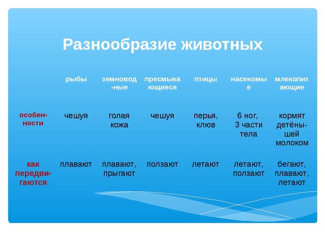 Дополни таблицу животные растительноядные слон карп
