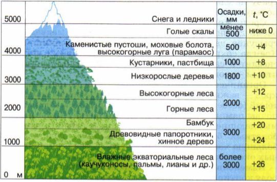 Чому відбувається зміна природних зон в горах?