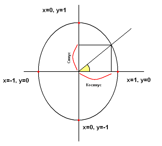 Отрезок косинуса. Косинус. Синус. Косинус картинка. Синус и косинус на рисунке.