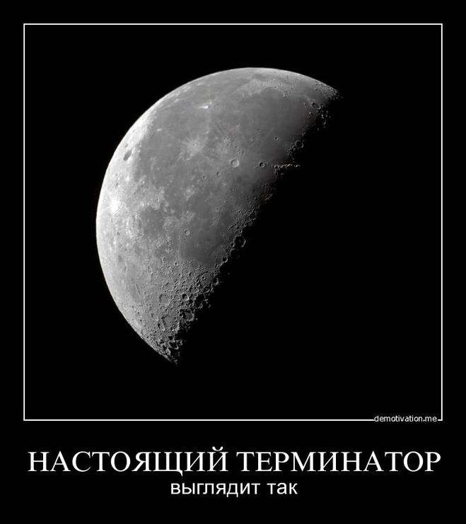 Що таке термінатор?