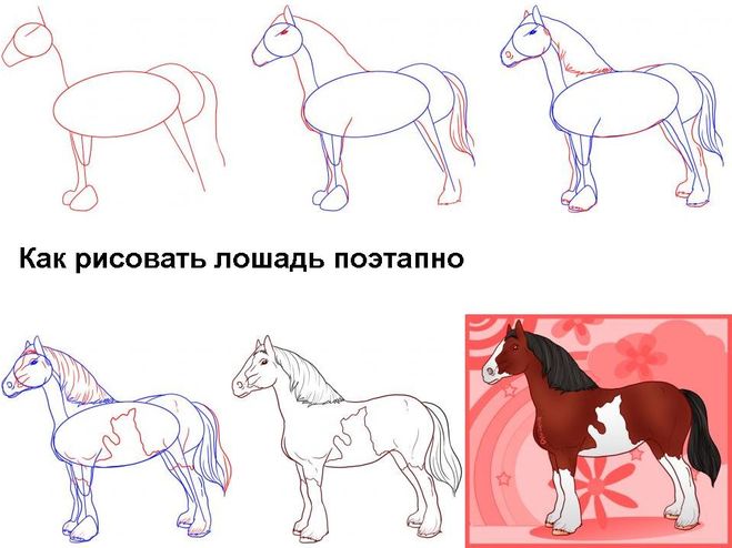 Як намалювати коня олівцем поетапно?