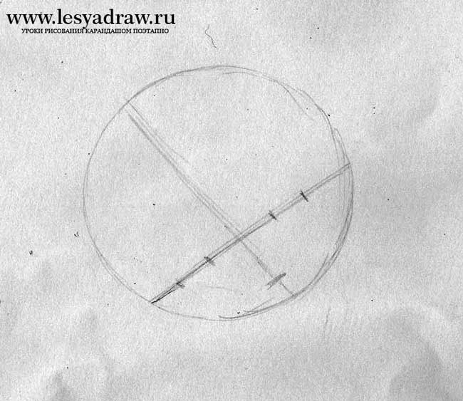 Як намалювати сплячого кошеня олівцем поетапно?