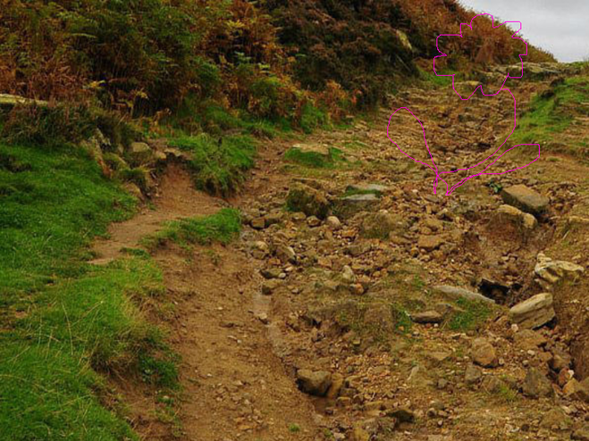 Игра найди кота. Игра найди кота на картинке. Ответ уровень найти кота. Найди кота. Ответ уровень найти кота.