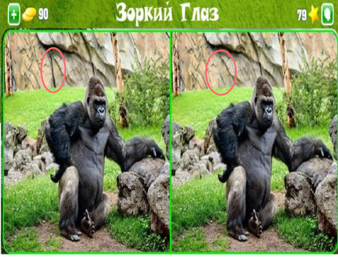 Зоркий Глазконкурс