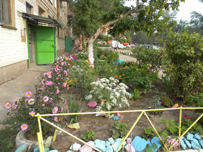 найди кота. найдите кота на картинке. найди кота. игра найди кота. найди кота уровни.