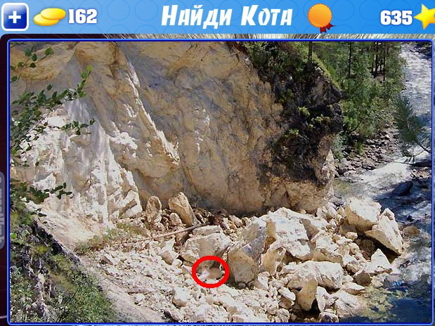 Фото Где Кот