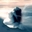 Запитав Subdial