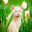 Запитав Greediness
