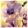 Запитав Ashworth