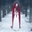 Запитав Ichneumon
