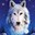Запитав Andromeda