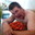 Запитав Feeley