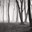 Запитав Milburn