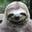 Запитав Cedric