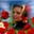 Запитав Milcher