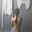 Запитав Ungifted